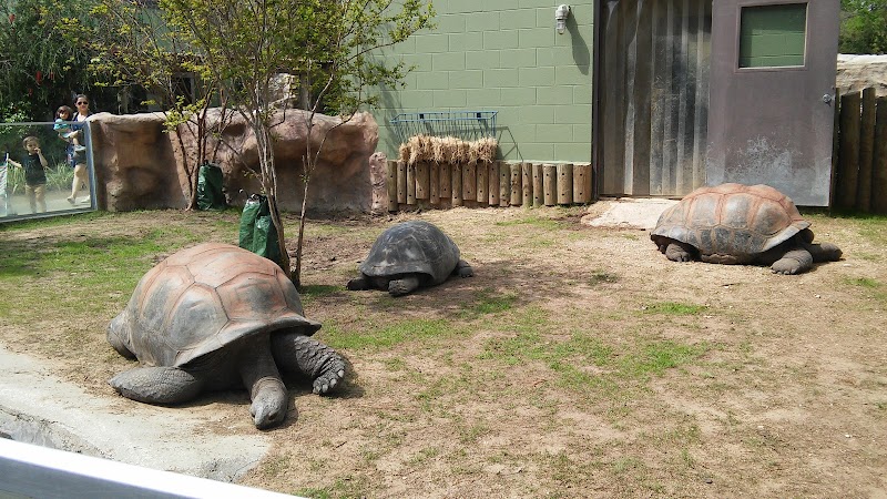 San Antonio Zoo — Easter Holiday Activities in San Antonio