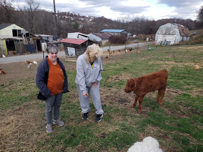 Burton Farm