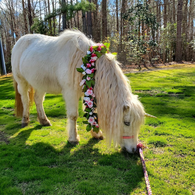 Flat Creek Farm Petting Zoo and Pony Rides