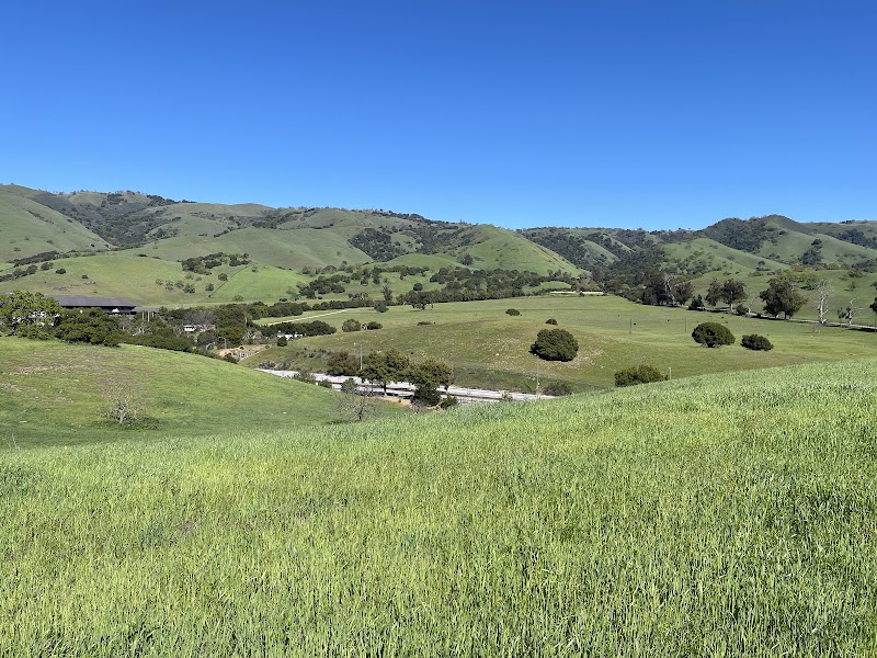 Montgomery Hill Park — Hiking with Kids in San Jose
