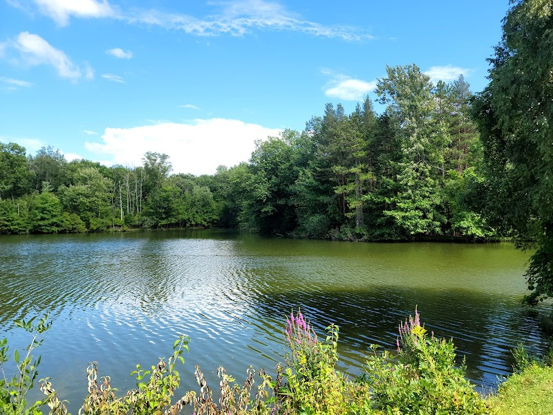 Walton Woods Park