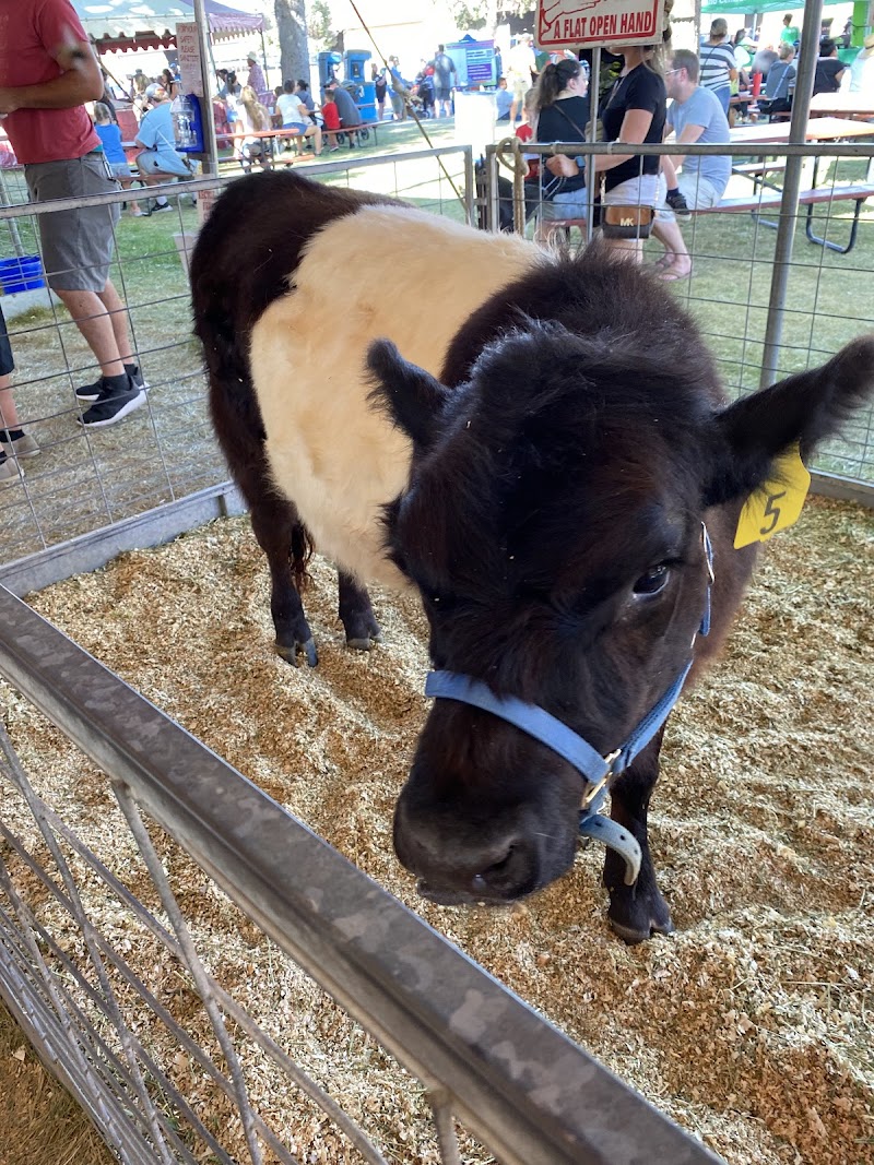 The Premium Building — Fall Festivals in Boise