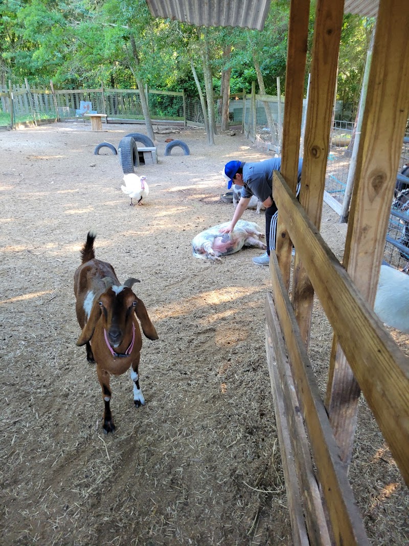 One Acre Farm TX
