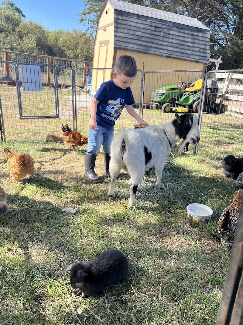 Once Upon A Petting Zoo — Petting Zoos in Sunnyvale