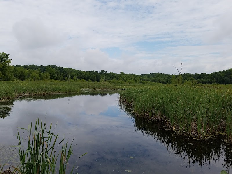 Meadow Ridge Conservation Park — Hiking with Kids in Madison