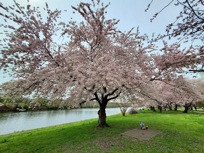 Schuylkill River Trail — Hiking with Kids in Philadelphia