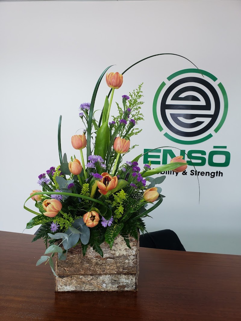 Enso Elite Gymnastics