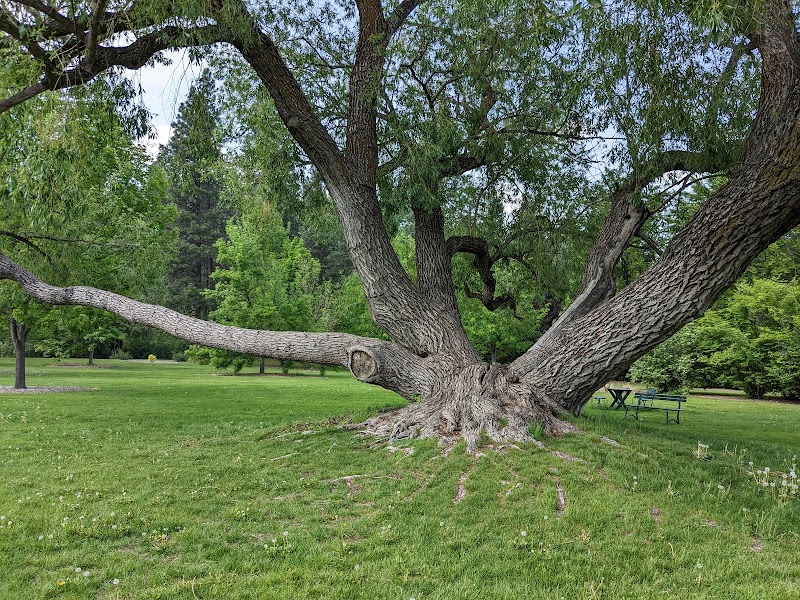 John A. Finch Arboretum