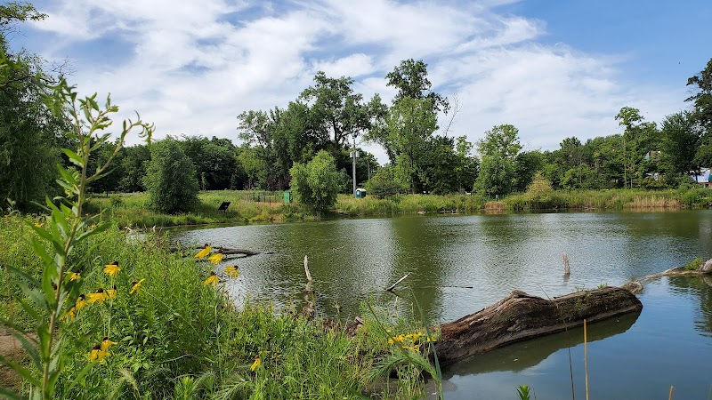West Ridge Nature Park — Hiking with Kids in Chicago
