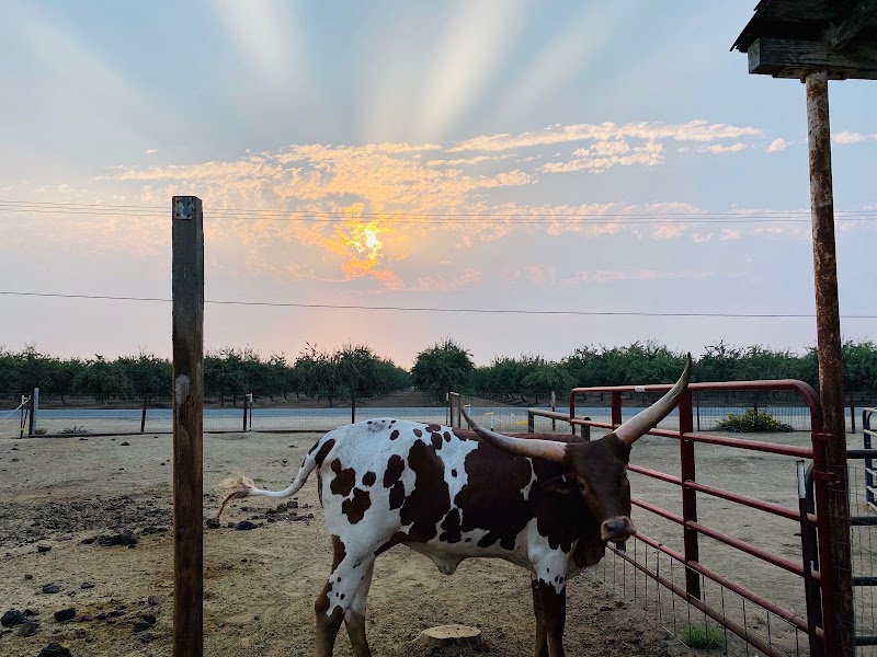 Ford Farms