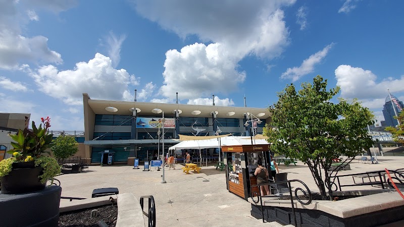 Newport Aquarium