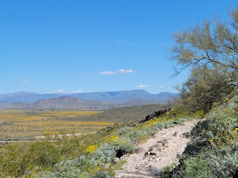 Deem Hills Recreation Area — Hiking with Kids in Phoenix