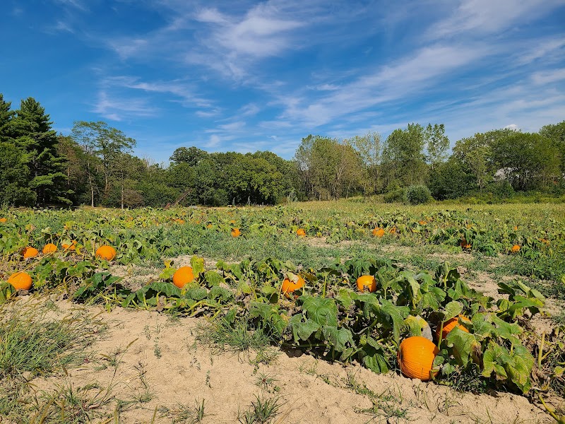 The Children's Farm at The Center