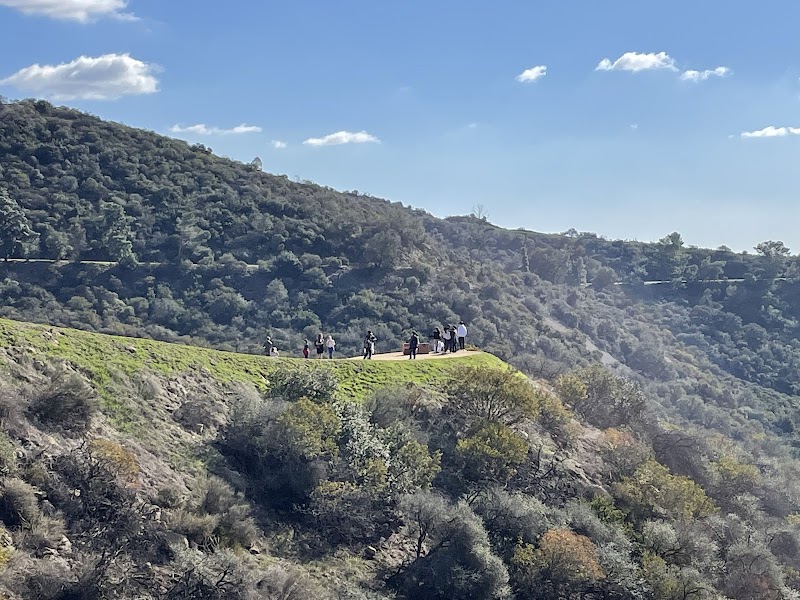 The Brush Canyon Trail — Hiking with Kids in Los Angeles