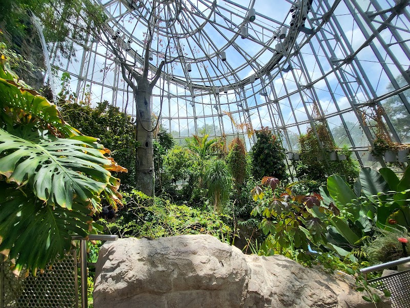 Cockrell Butterfly Center