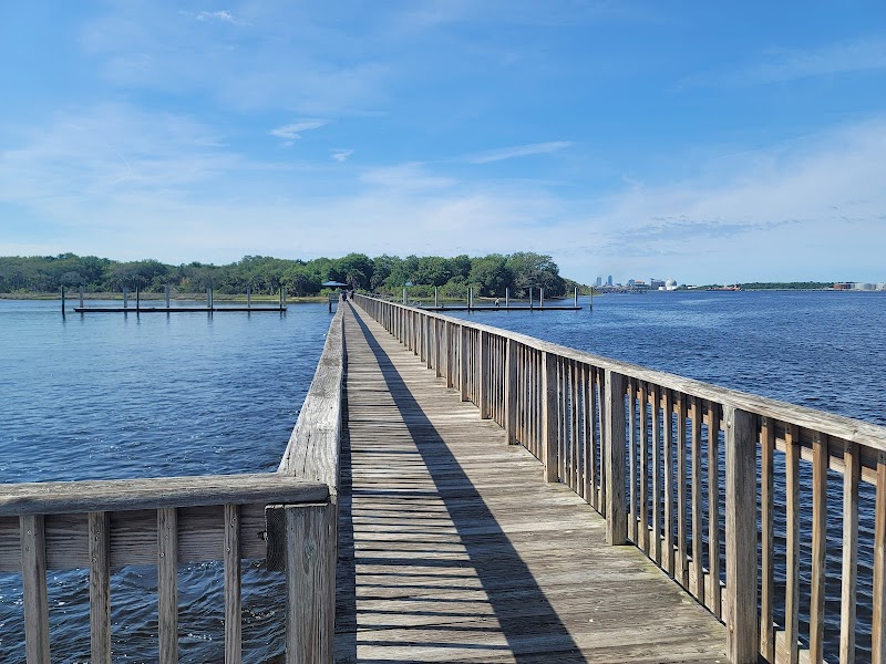 Reddie Point Preserve — Hiking with Kids in Jacksonville