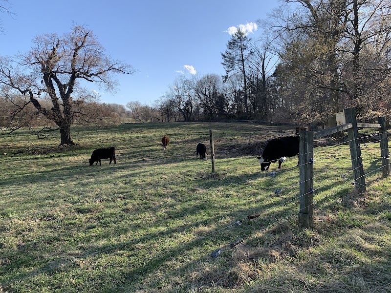 Fox Chase Farm