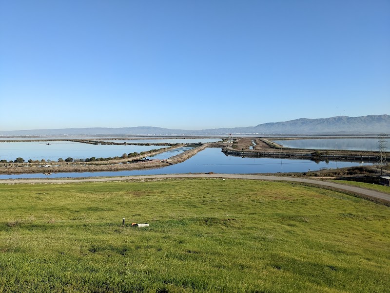 Sunnyvale Bay Trail