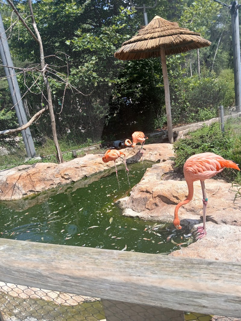 Barnyard — Petting Zoos in Boston