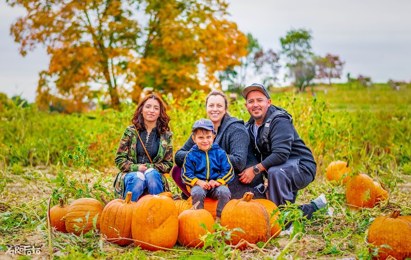 Wright Family Farm