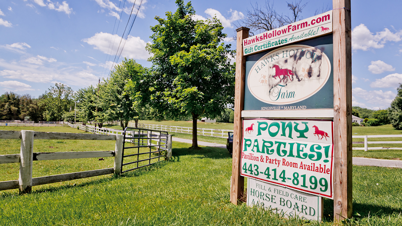 Hawks Hollow Farm