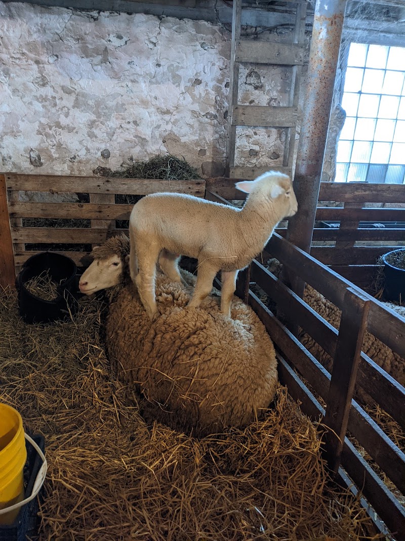 Enjoy Pioneer Farm
