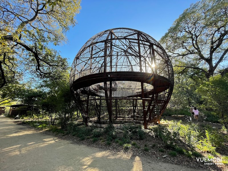 Pease Park Treehouse — New Year's Eve Kids Activities in Austin