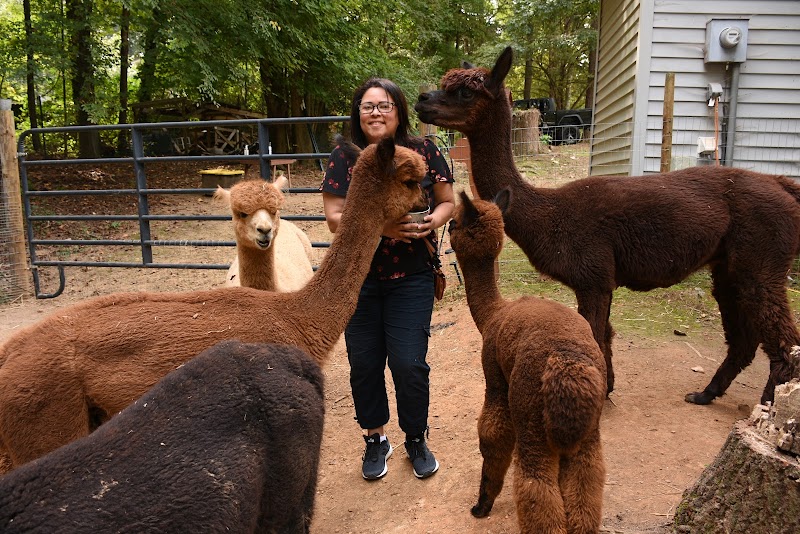 Cedarbrook Alpaca Farm - Appointment Required