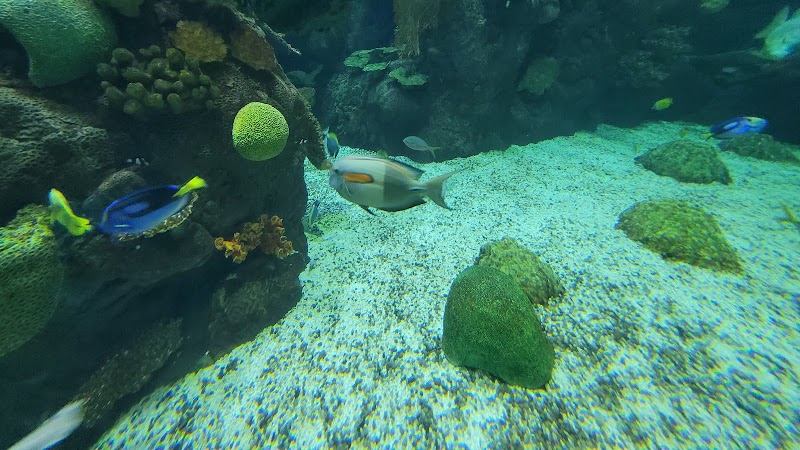 Shores & Aquarium — Petting Zoos in Columbus