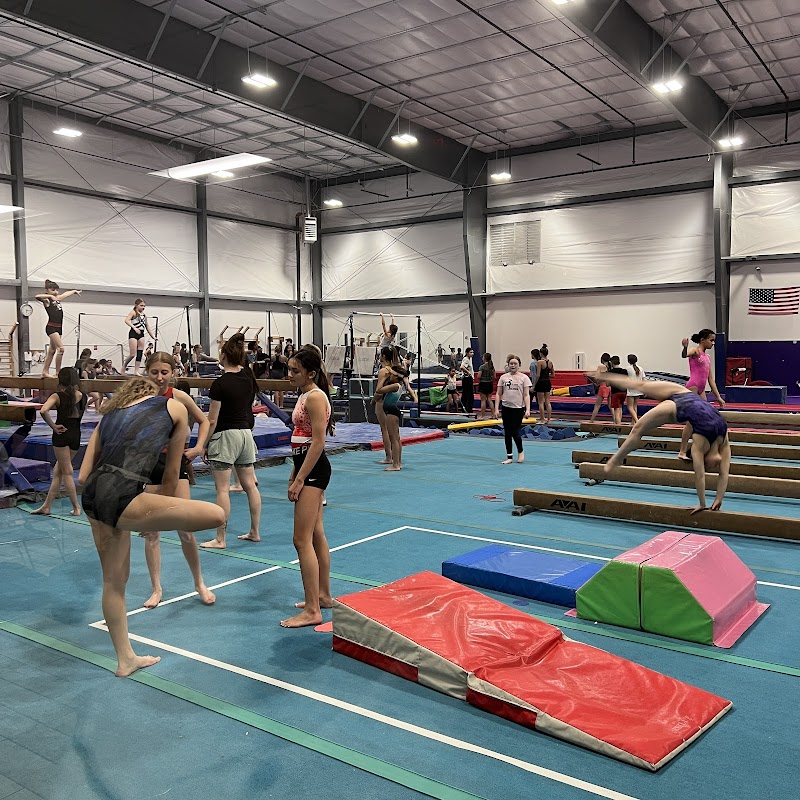 Desert Gymcats Flip 'N Twist