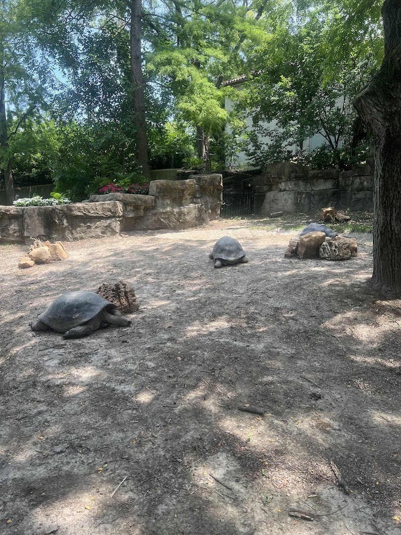 Zoo Welcome Desk