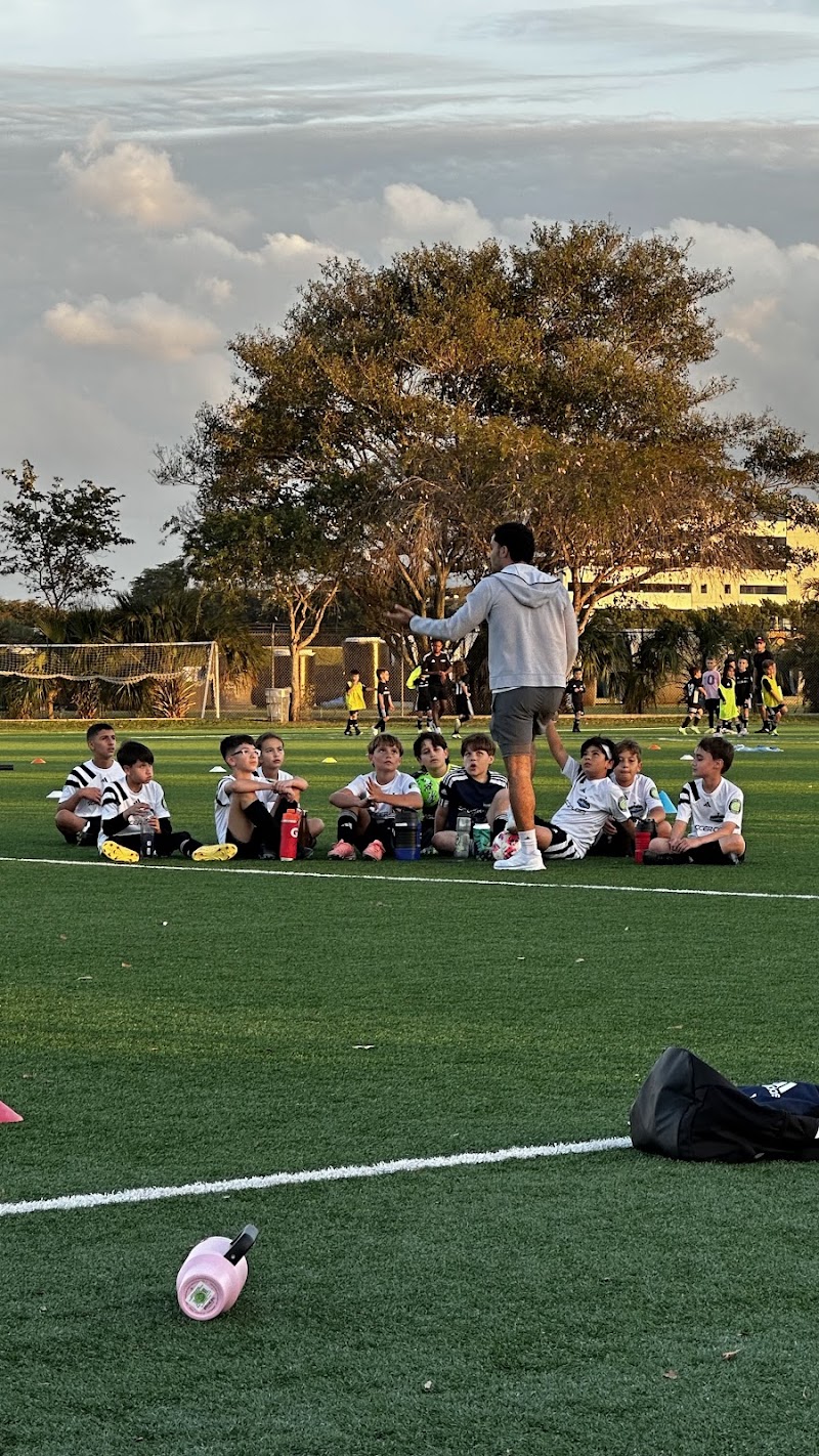 Wild About Sports Academy
