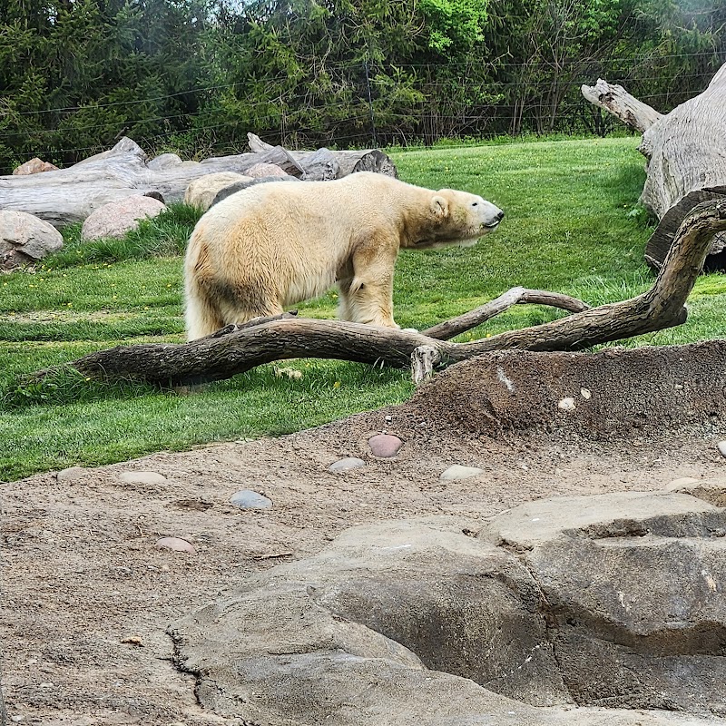Polar Frontier — Petting Zoos in Columbus