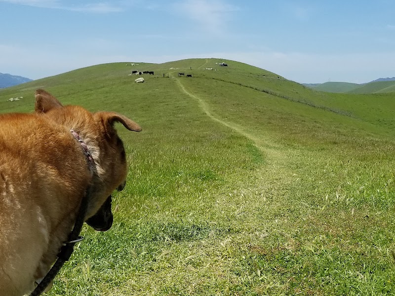 Tassajara Ridge Staging Area