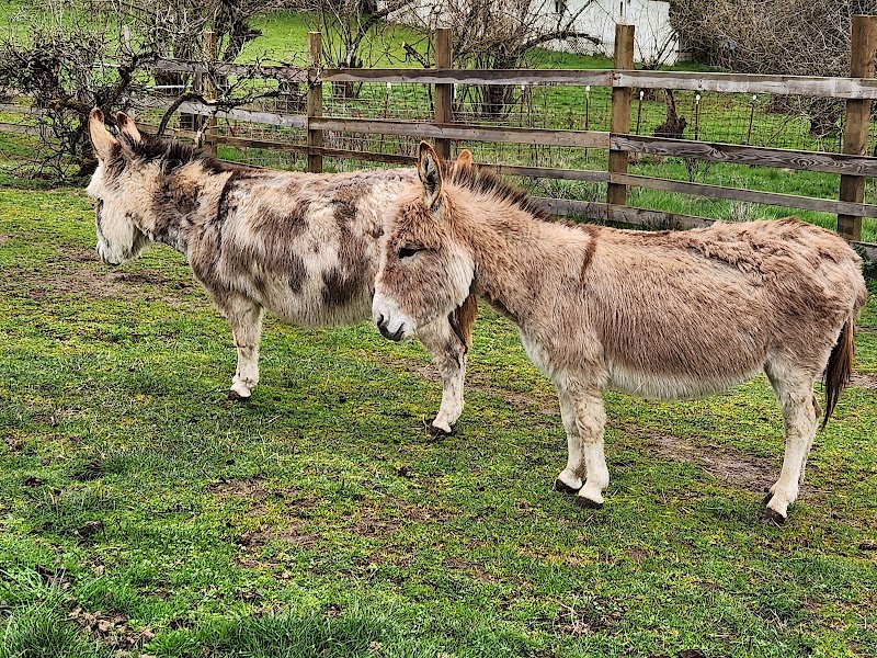 Tollen Farm