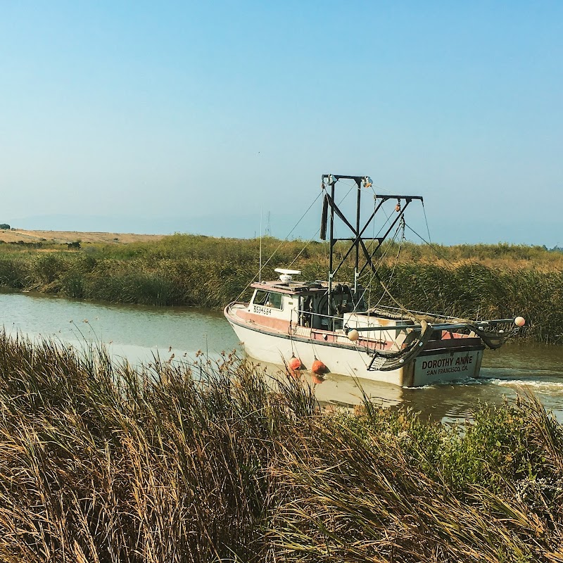 Laine's Baits and Rentals — Kayaking for Kids in Sunnyvale