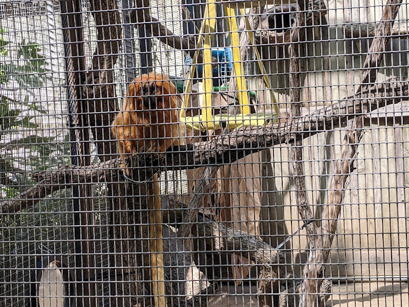 Micke Grove Zoo