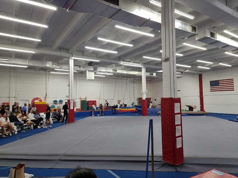 Florida Gymnastics Training — Indoor Gymnastics in Miami