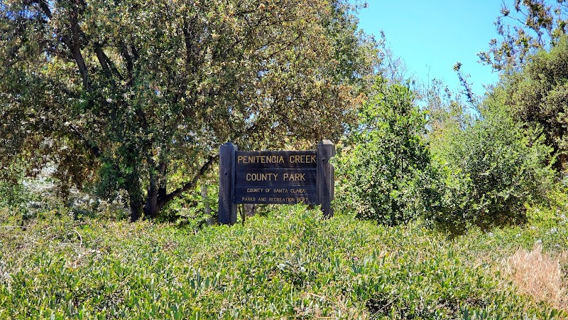 Penitencia Creek County Park — Hiking with Kids in San Jose
