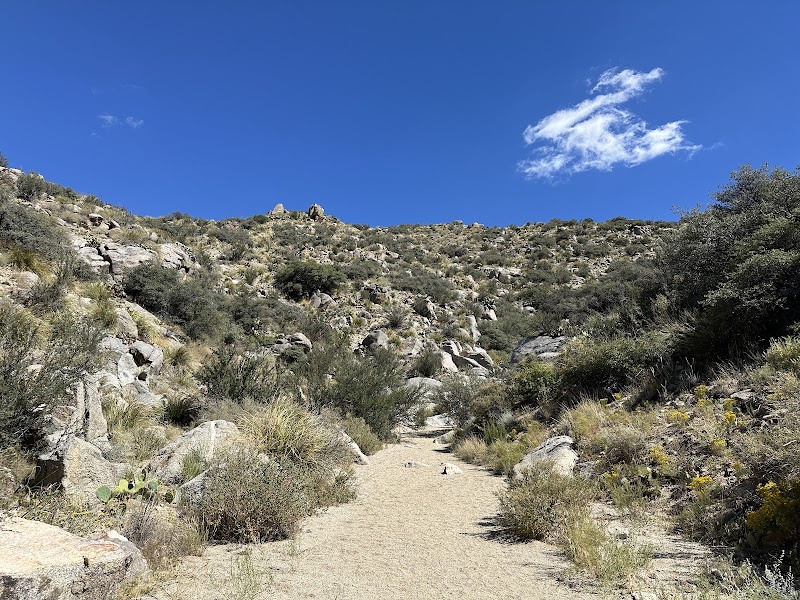 Piedra Lisa Canyon Loop Trail — Hiking with Kids in Albuquerque