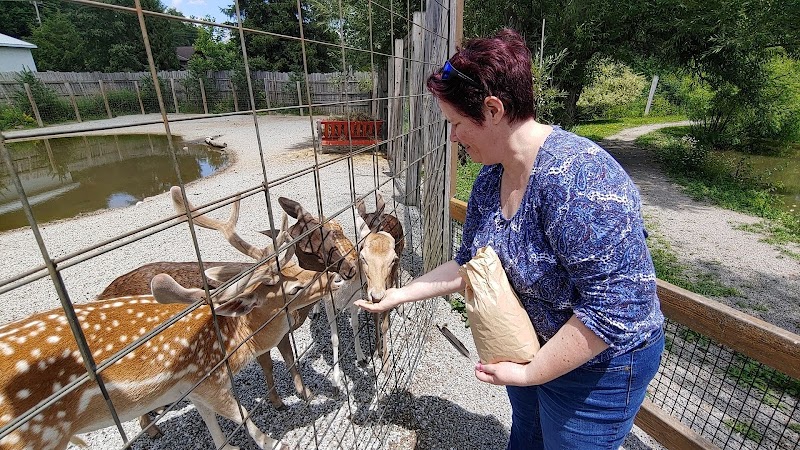 Living Treasures Animal Park
