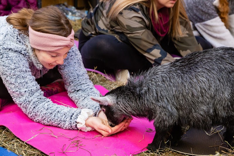 Feels Like Home Farm — Petting Zoos in Cleveland