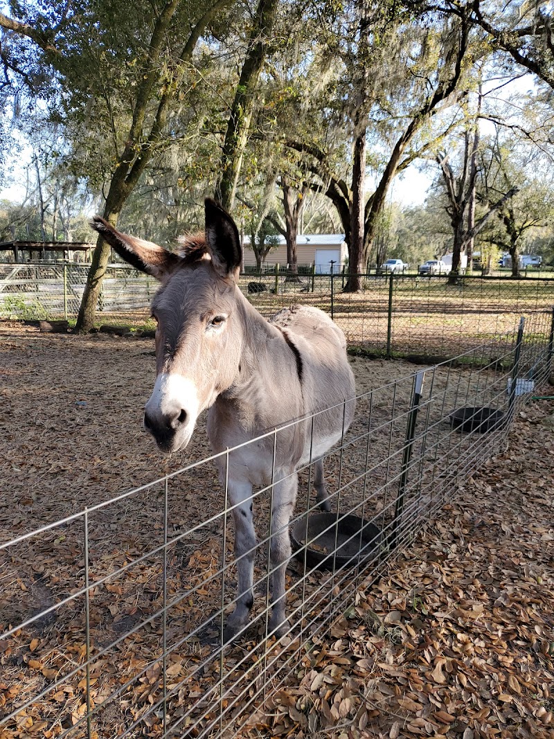 Maria's Farm