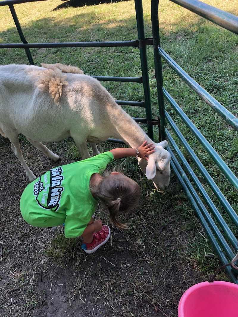 Kids Fun Camp