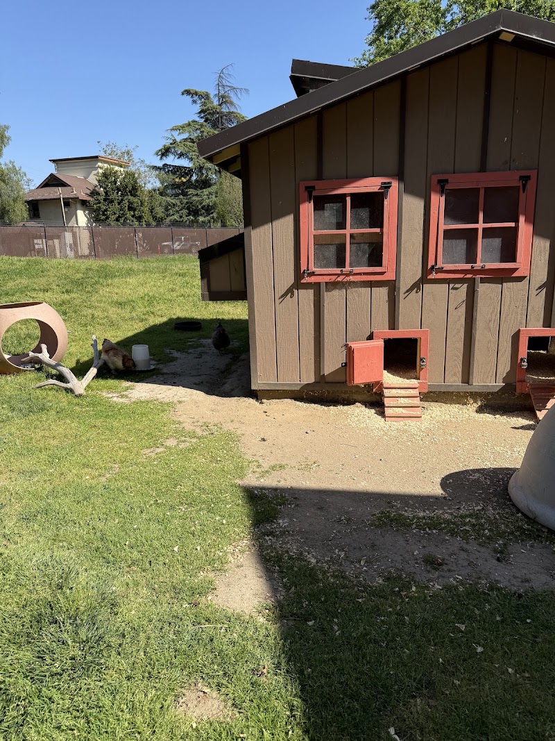 Animal Contact Area