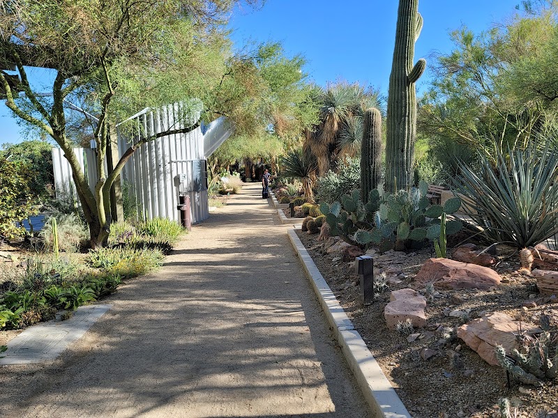 Botanical Garden at the Springs Preserve
