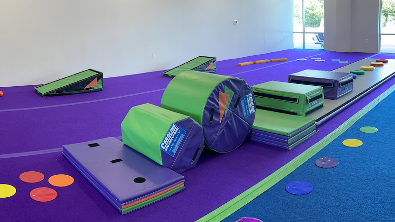 The Kid's Gym — Indoor Gymnastics in Durham