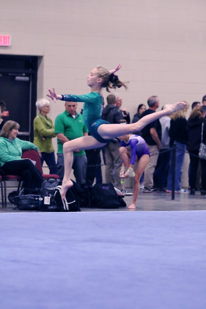 WAKE Gymnastics Inc. — Indoor Gymnastics in Durham