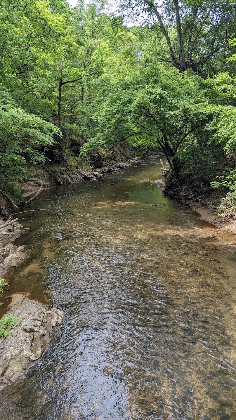 Westminster Summer Camp — Summer Camps in Atlanta
