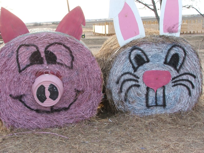 Country Critters Farm, LLC
